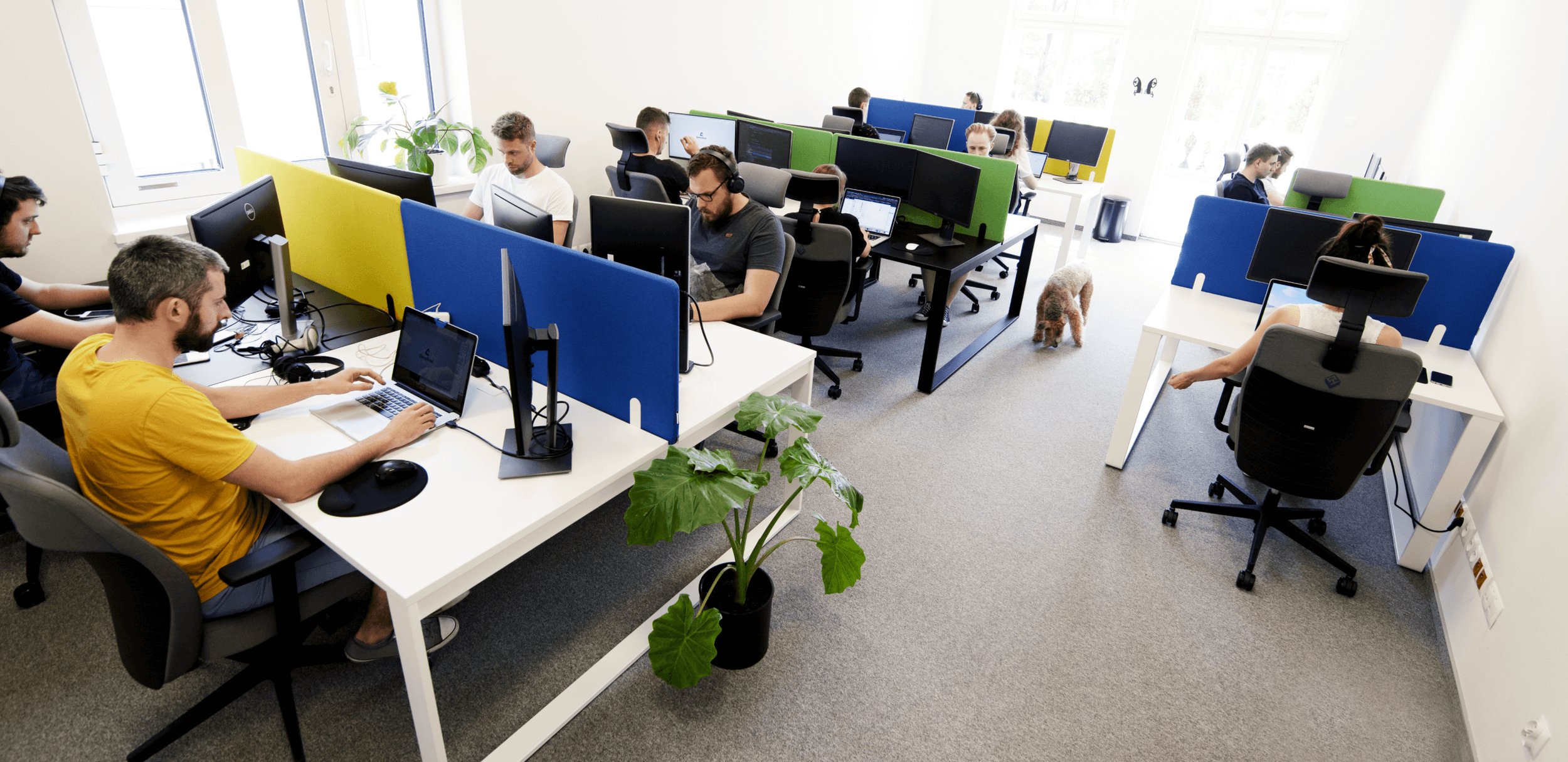 How React Native can be beneficial for your next startup?