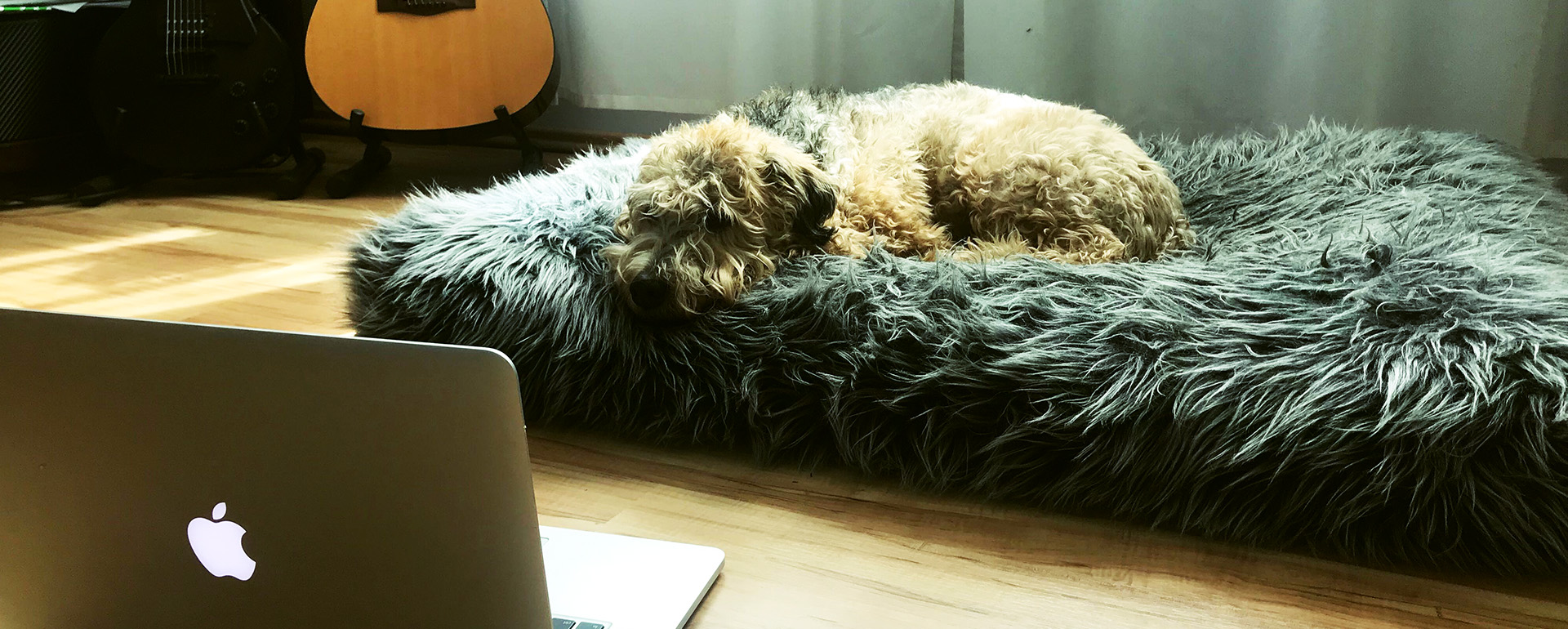 Remote work? Yes, please!