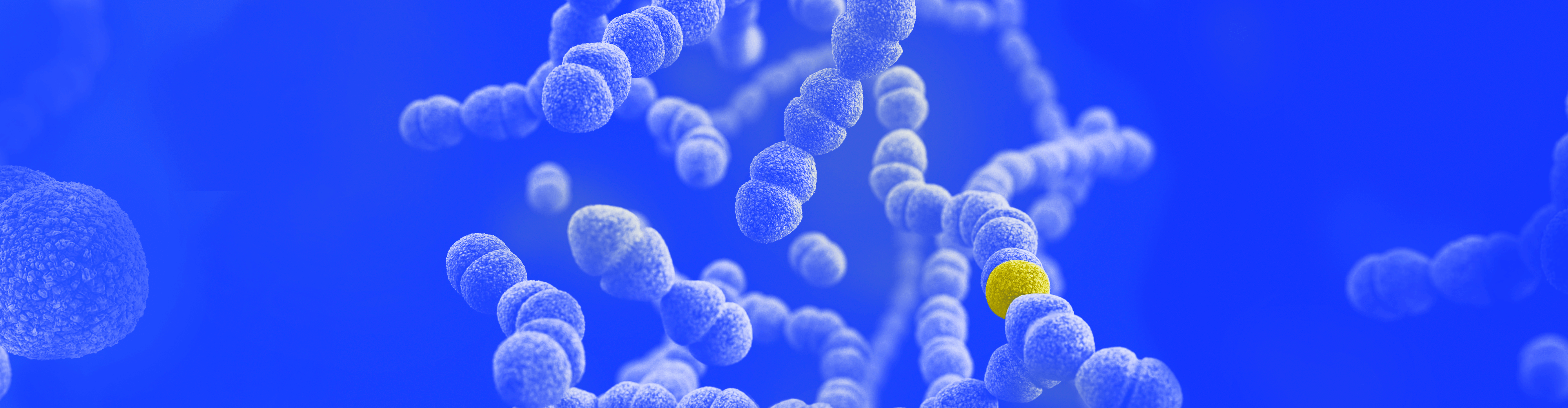 Healthcare LP3; Article 2; cover photo web