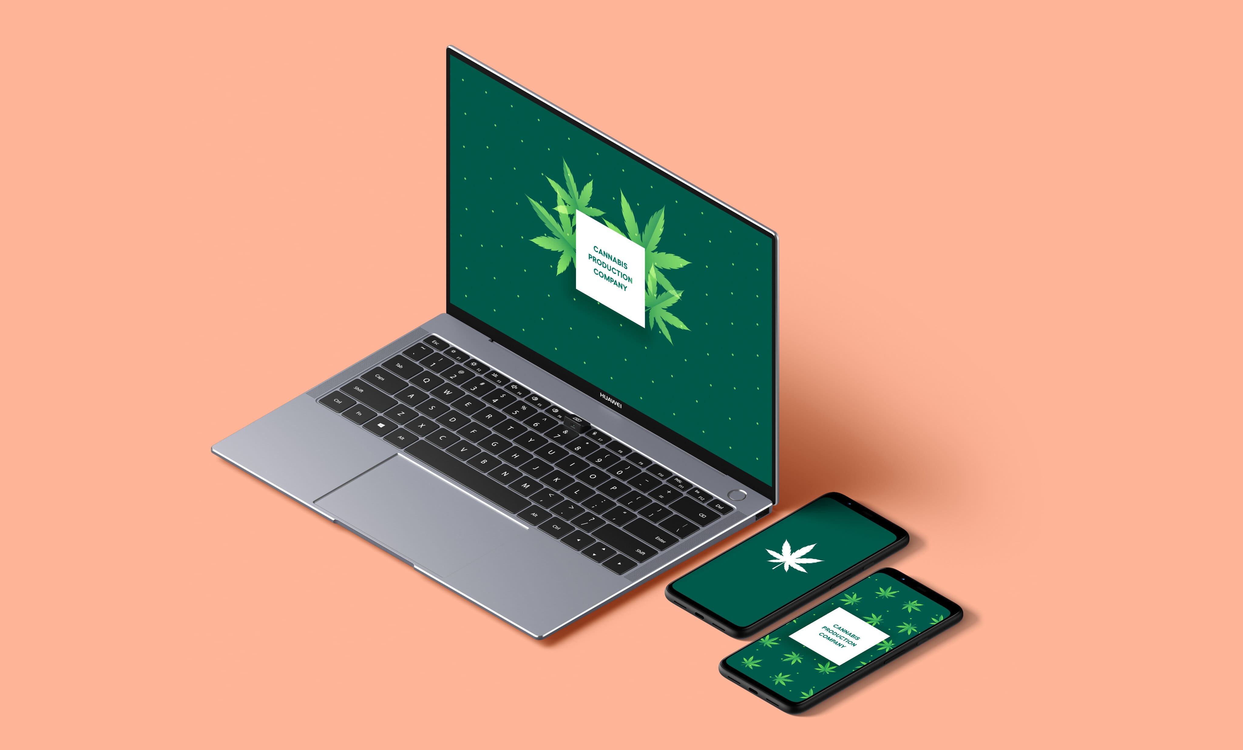 Cannabis production company