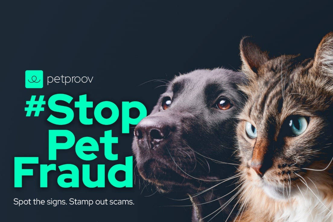 Building trust in pet transactions with secure identity verification - Process - Image 1