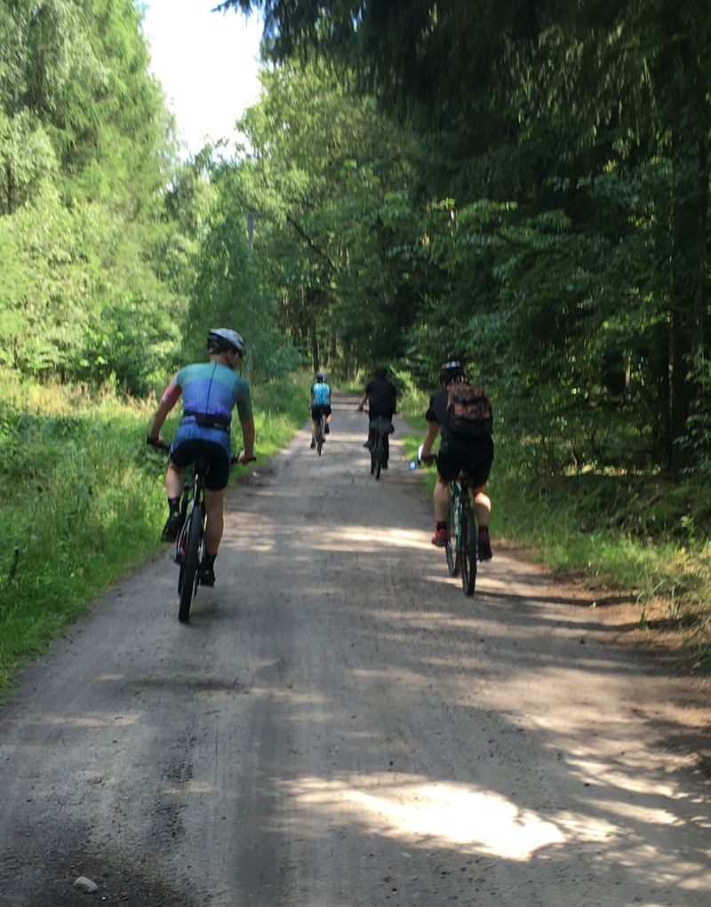 A couple of people riding bikes on a dirt road in the forest